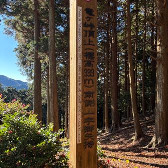 竜ヶ峠 333 m
いよいよ天空界道にコースイン。
ここ迄のアプローチで約10km。長かったな。