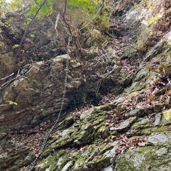 男性に教えてもらったルートで下り