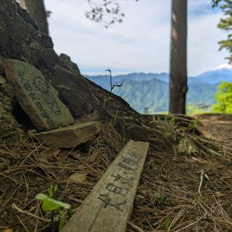 犬目丸は隠れ絶景スポット認定です👍