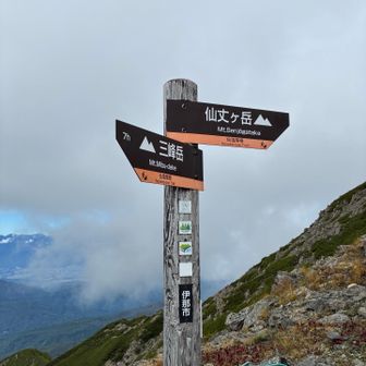 ようやく着いた大仙丈ヶ岳にあった案内板
「三峰岳まで7時間」
あれ、塩見までの時間は…？
まあ仙丈ヶ岳の山頂には塩見までの時間は書いてあるだろう…