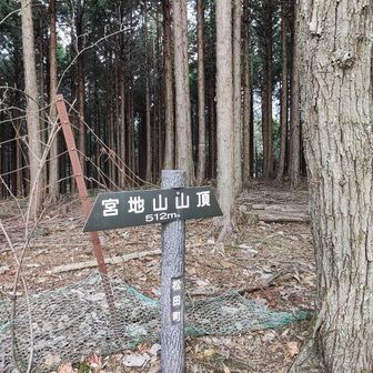 宮地山山頂到着！

この後、後ろにいけそうですなんですが、緑の鹿よけ網に沿って戻るように進みます。