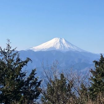 今日の高尾山はダイヤモンド富士で大賑わいですね、見られると良いね👍