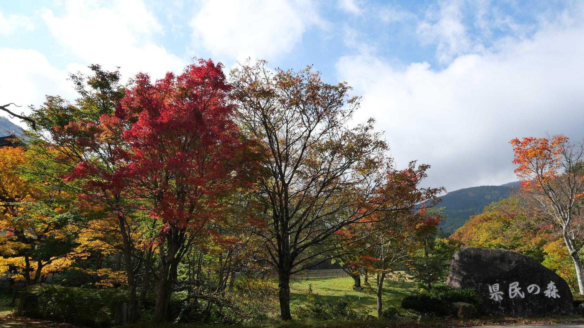 公園センターから池ノ段への最短ルートで登る。