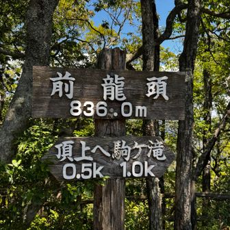 前龍頭を通り過ぎると