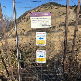 ゲートを抜けて