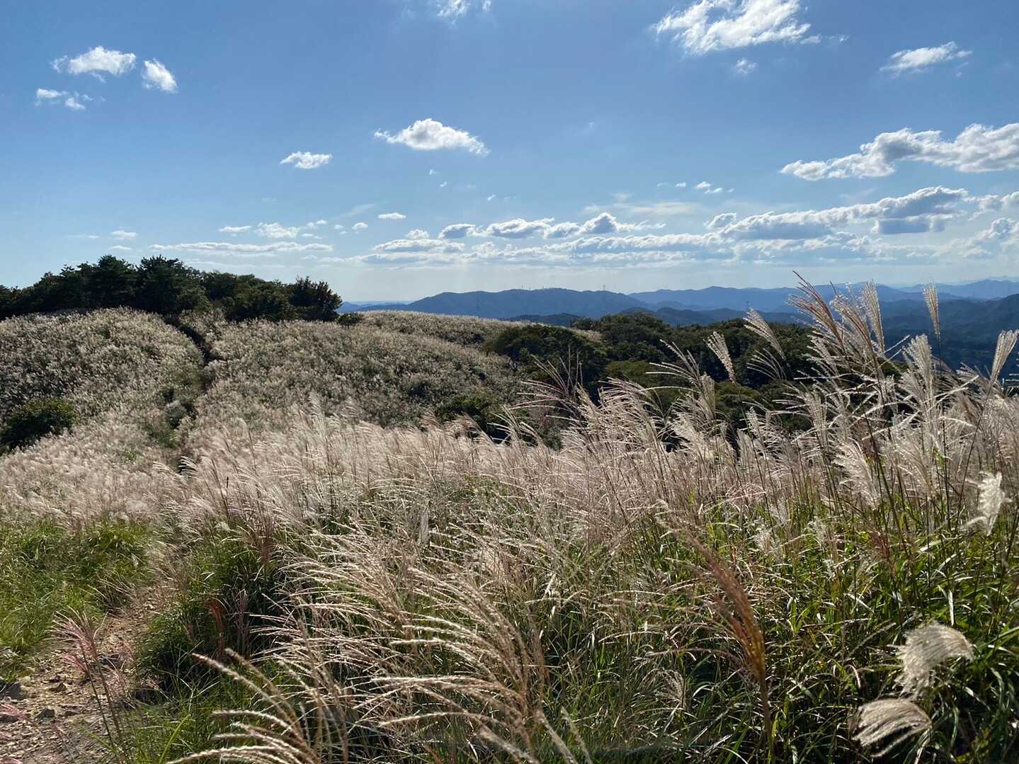 深山の写真