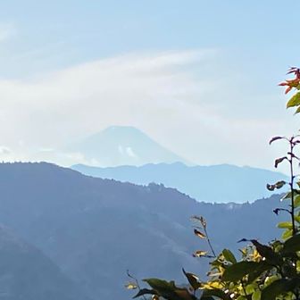 富士見台からの富士山