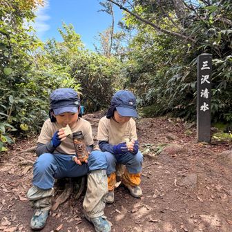古寺山の山頂は日影がないので休憩とらず。
三沢清水まで下りてきました。
樹林帯に入るとひんやり涼しい✨
キンキンの水で帽子を濡らして生き返った😆