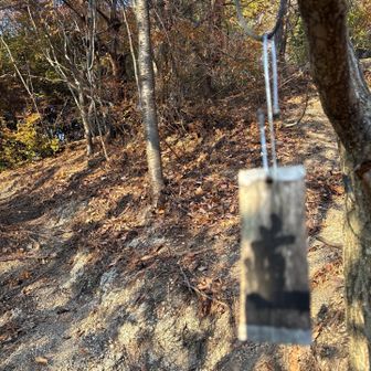 　　どからかな〜とキョロキョロ👀

　道の木札を見つけここから上りました😂

　踏み跡もありますが落ち葉が多くて🍂