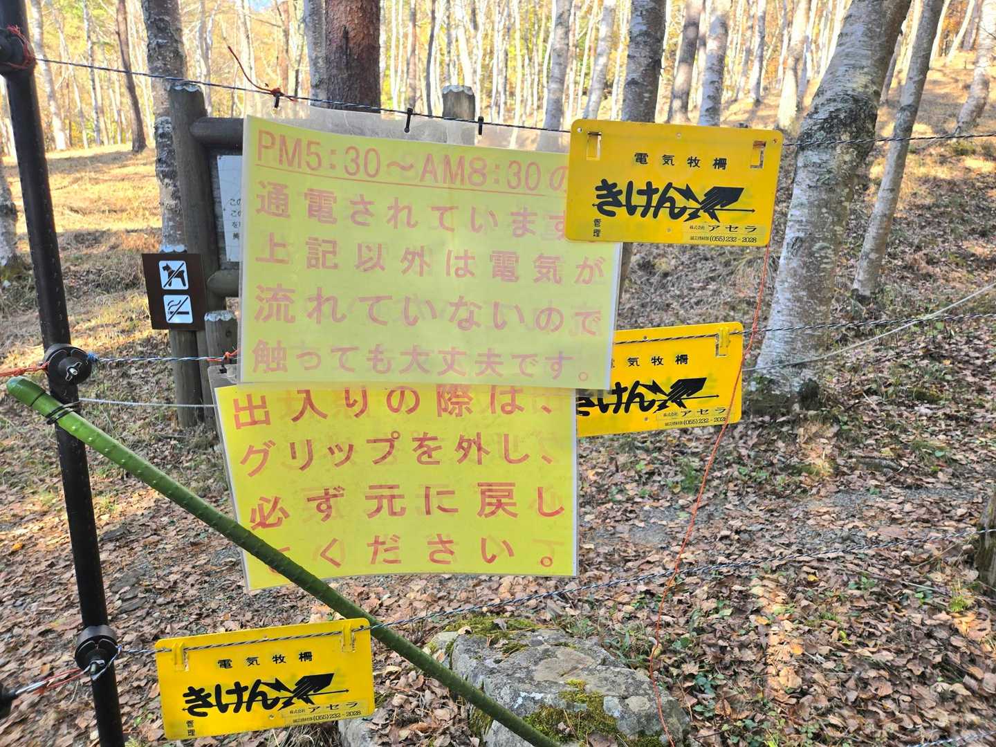 通電してる時間帯があるようです
ドキドキしながらワイヤーを外し無事通過🥲