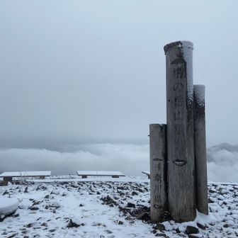 富士山は雪予報だったけど、塔ノ岳は雨だと思ってたのでちょと嬉しい😊