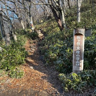 駒ヶ岳を下山😀
トイレ休憩して地蔵岳に向かいます😀