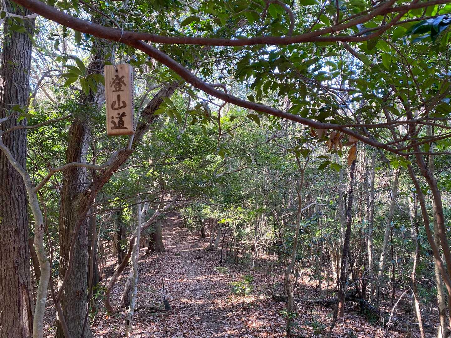 登山道におしゃれな木札