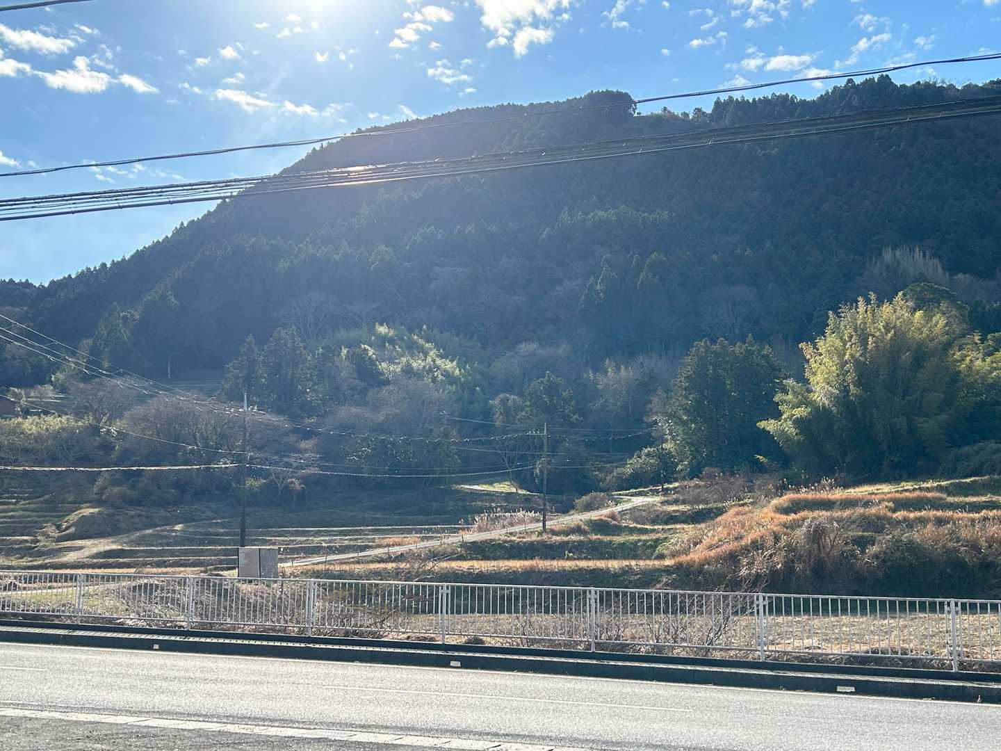 駐車場から山側を見てパチリ。