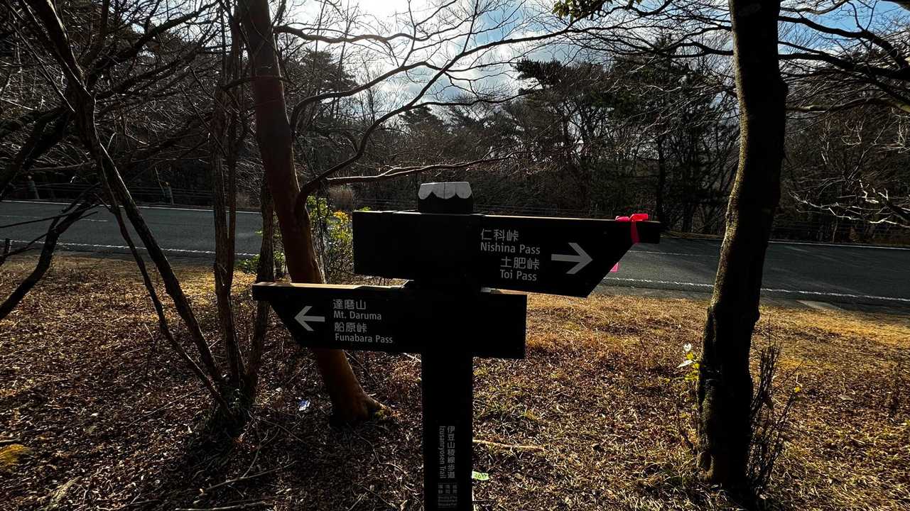 伊豆山陵線トレイル（三蓋山・水呑頭・猫越岳・後藤山・魂の山・棚場山・伽藍山・古稀山・達磨山・小達磨山） の写真 68