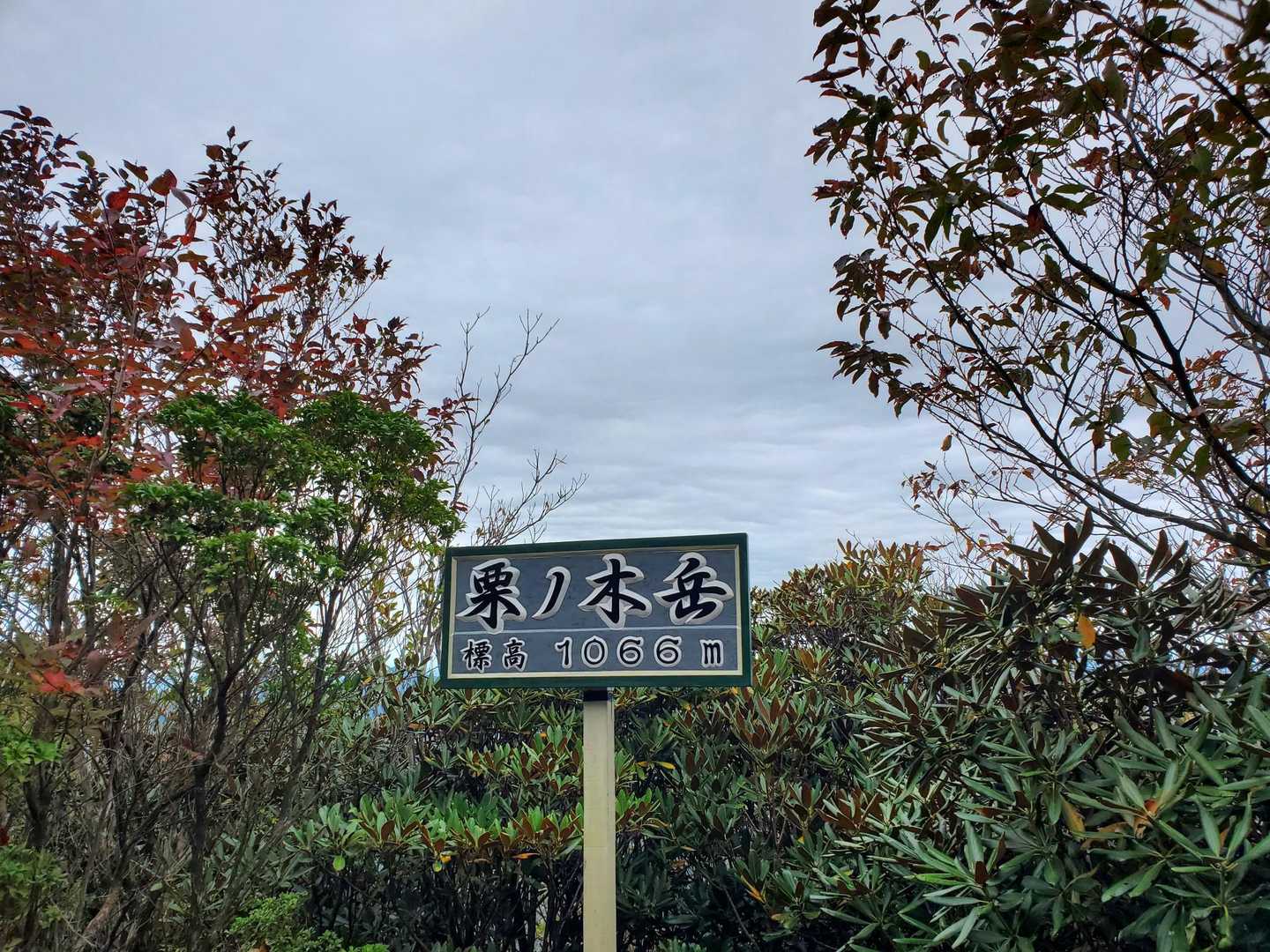 栗の木岳登頂🙌
香肌イレブン踏破出来ました✌️