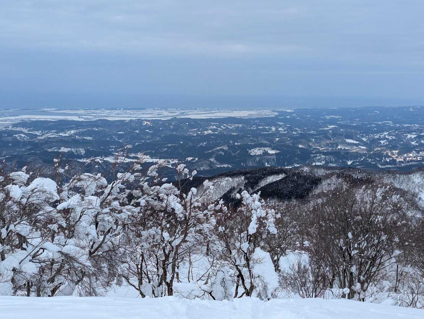 この景色を見ながら帰ろうね👣って言いましたが、嬉しさのあまり舞い上がってしまいました😵‍💫下山ルートミス❌️