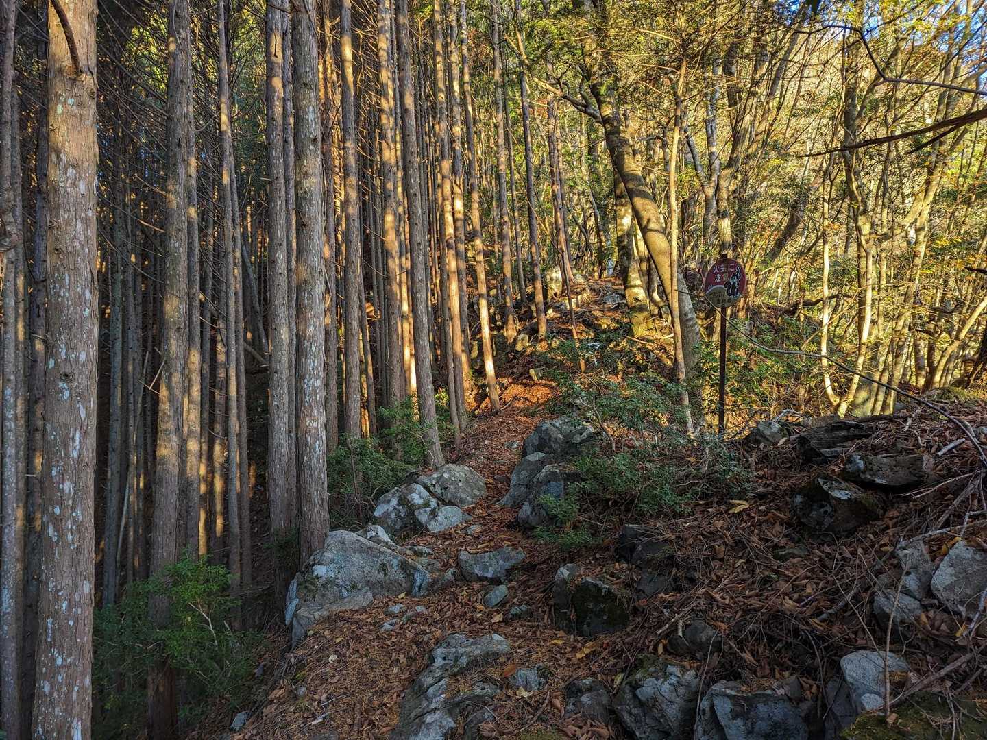 たまにある平坦な尾根が癒やしてくれます