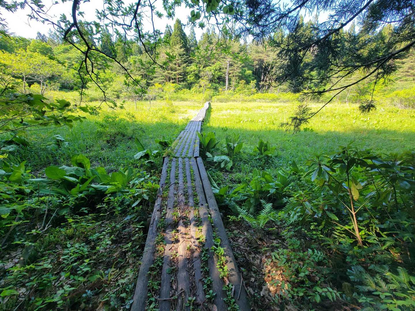 熊野長峰-虚空蔵山 周回コースの写真