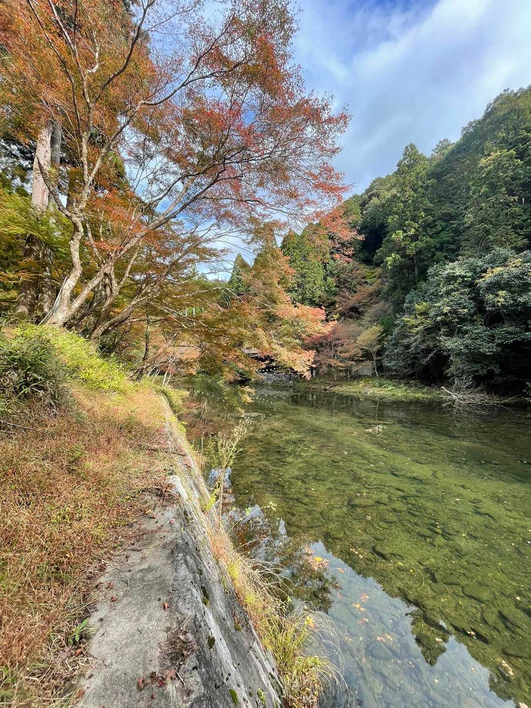神護寺の紅葉🍁もよかったな👍