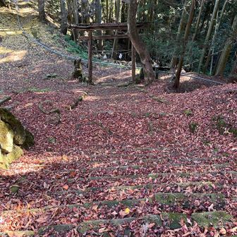 階段が狭すぎて下りるの怖い！