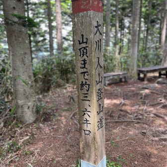 横岳まで戻ってきたよ〜