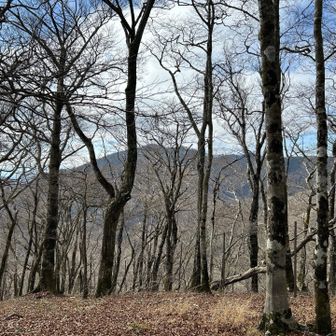 中ノ丸より菰釣山