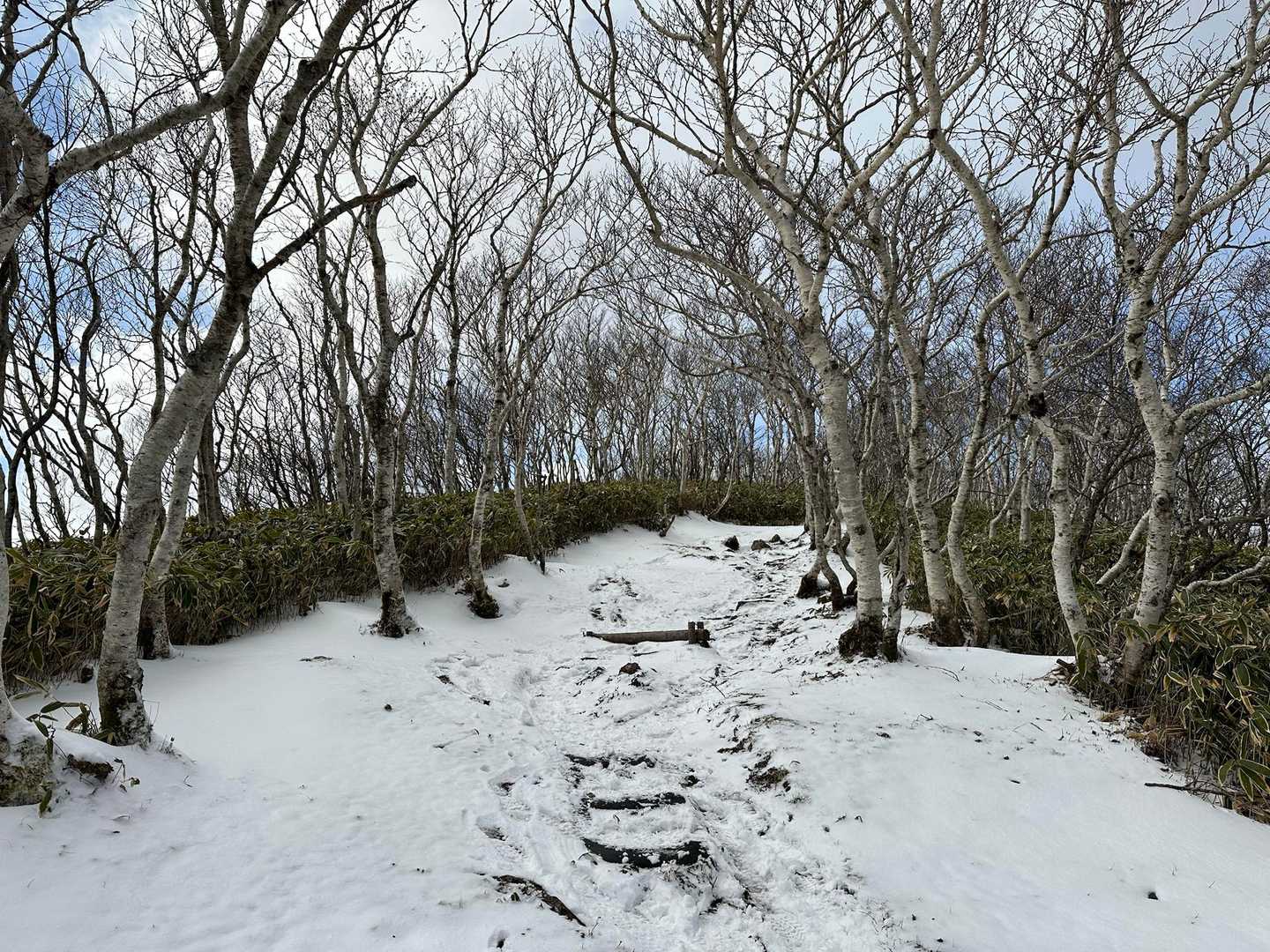 うーん
これだけの雪だけど
チェンスパあったら安心だよねー
この中途半端な雪は微妙ですねー