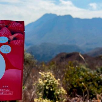 とってもおいしいけど、アルコールを欲しました😊