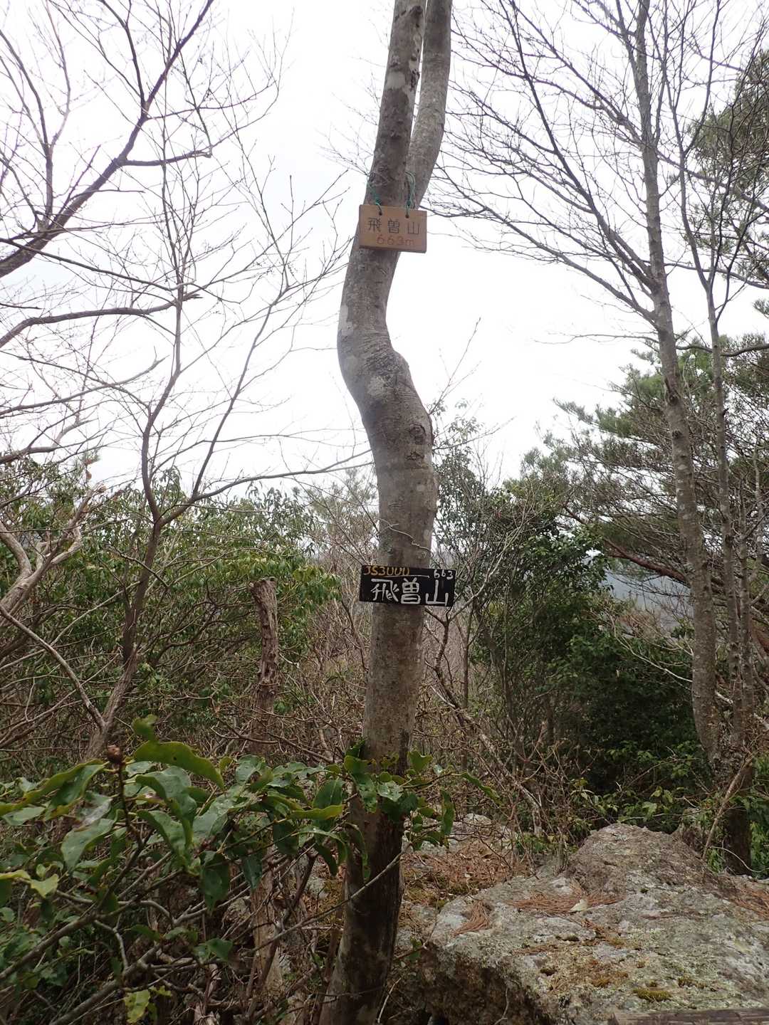 飛曽山