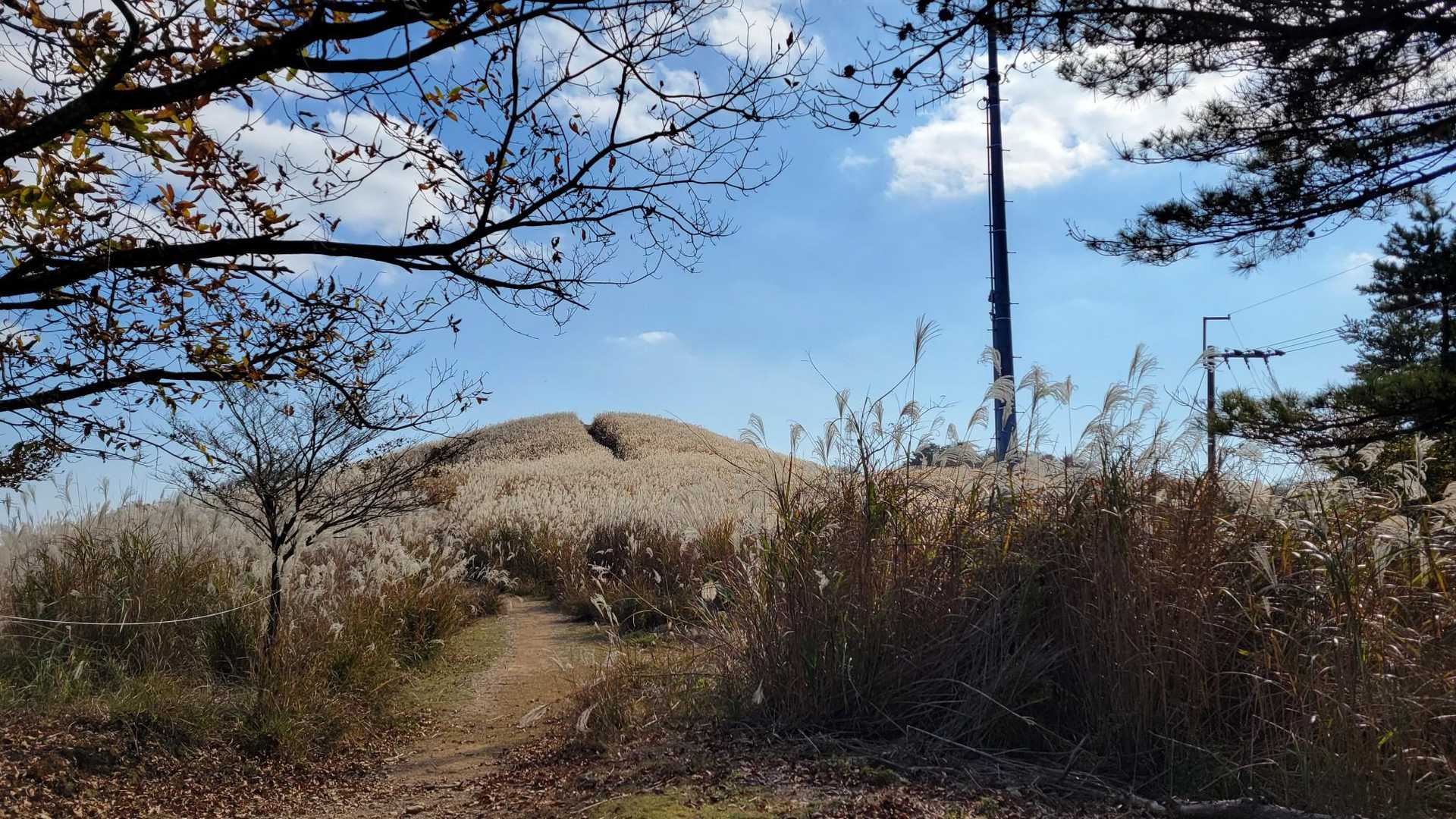 るり渓深山ハイキングコース入口-深山 周回コースの写真
