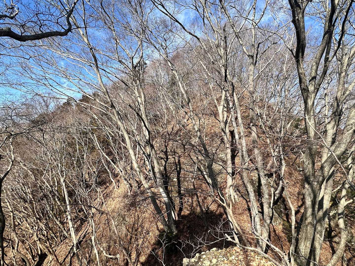 黒沢山から降りてきましたが、岩の急坂なので、上りはまずまずでしたが、下りは鎖につかまって
慎重に⛓️