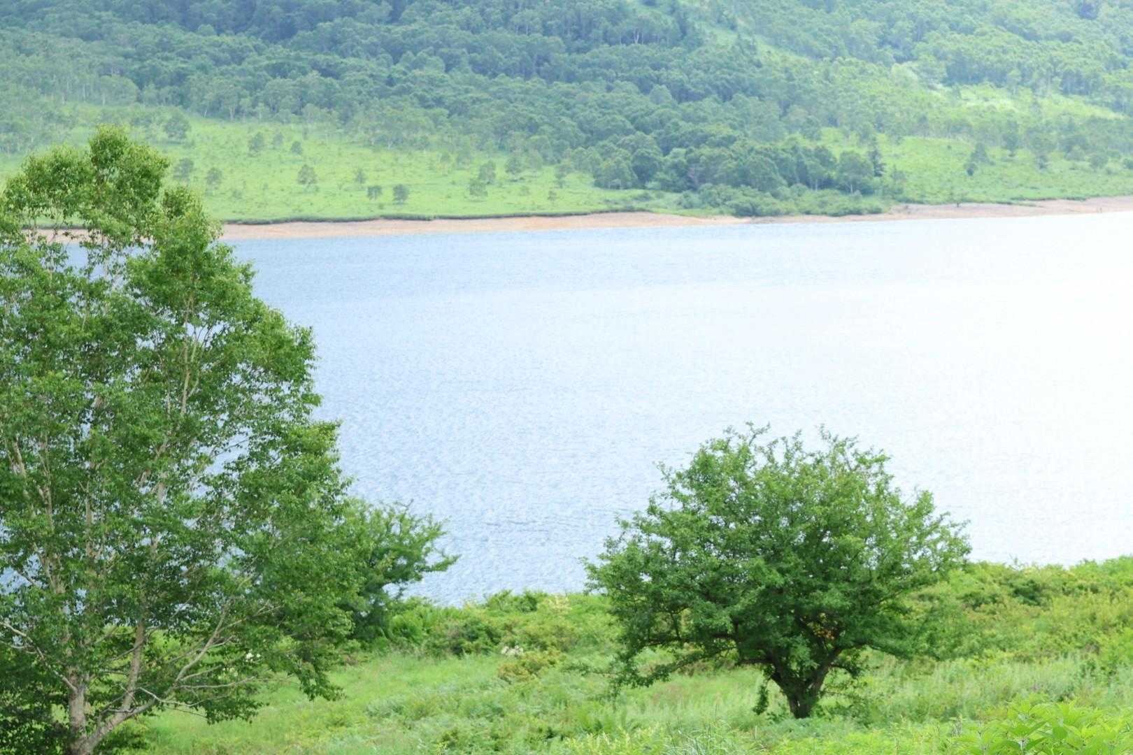 八間山登山口-八間山登山口-白砂山登山口-野反ダム-野反湖 周回コースの写真