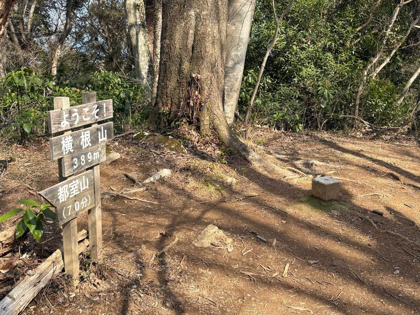 横根山山頂