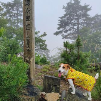 山頂看板を相方君が真っ直ぐに直してくれたので、もう一度写真を撮り直し