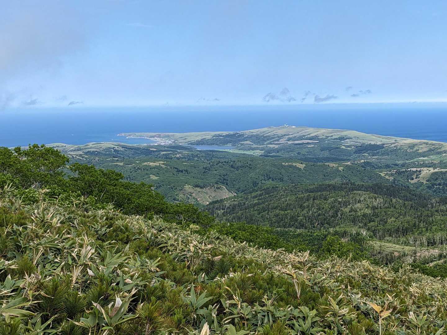 礼文岳-礼文岳登山口 縦走コースの写真