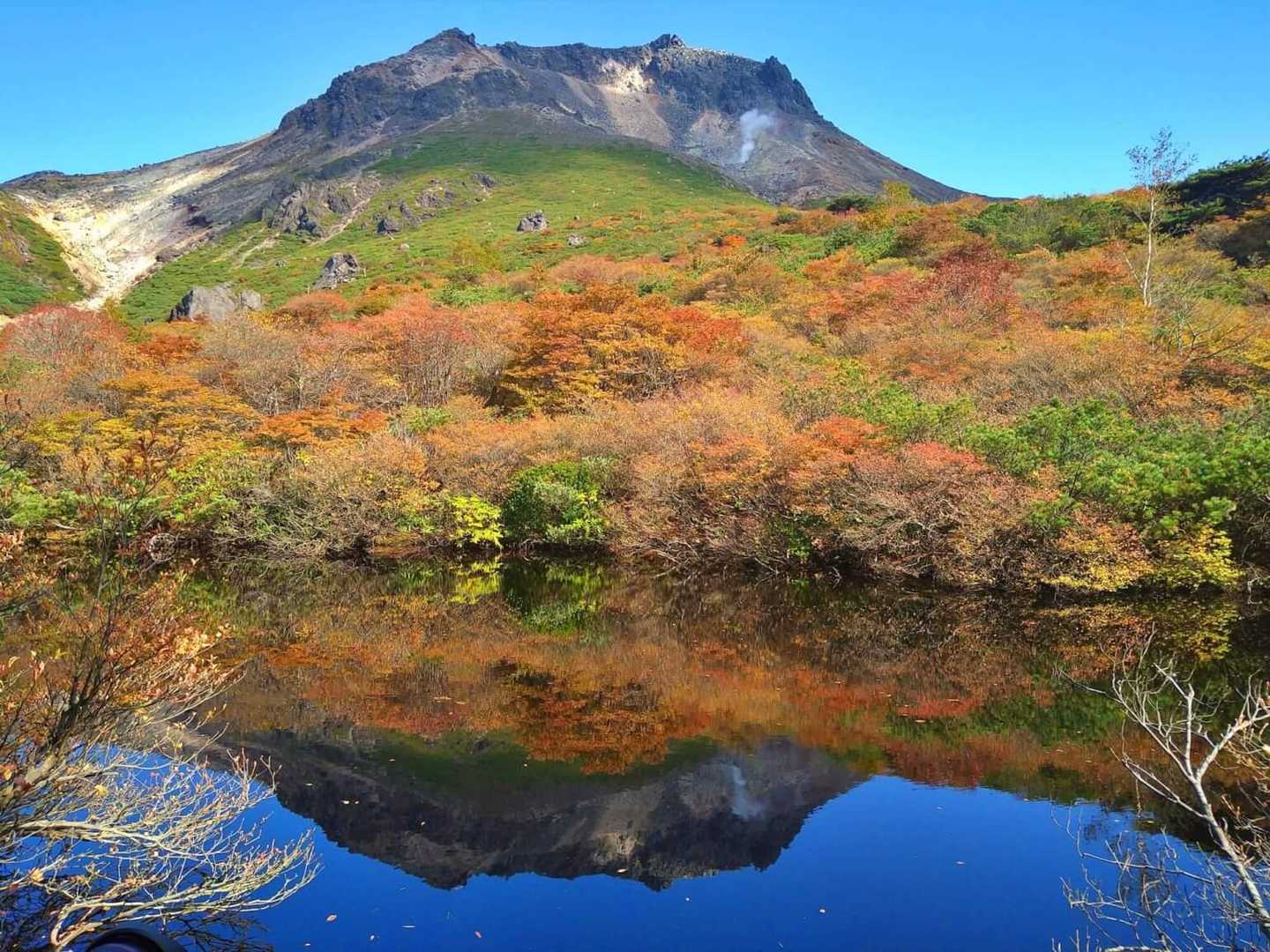 ロープウェイ山頂駅発着｜姥ヶ平散策コースの写真