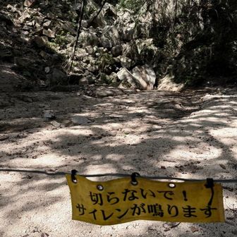 こっちが正解👍