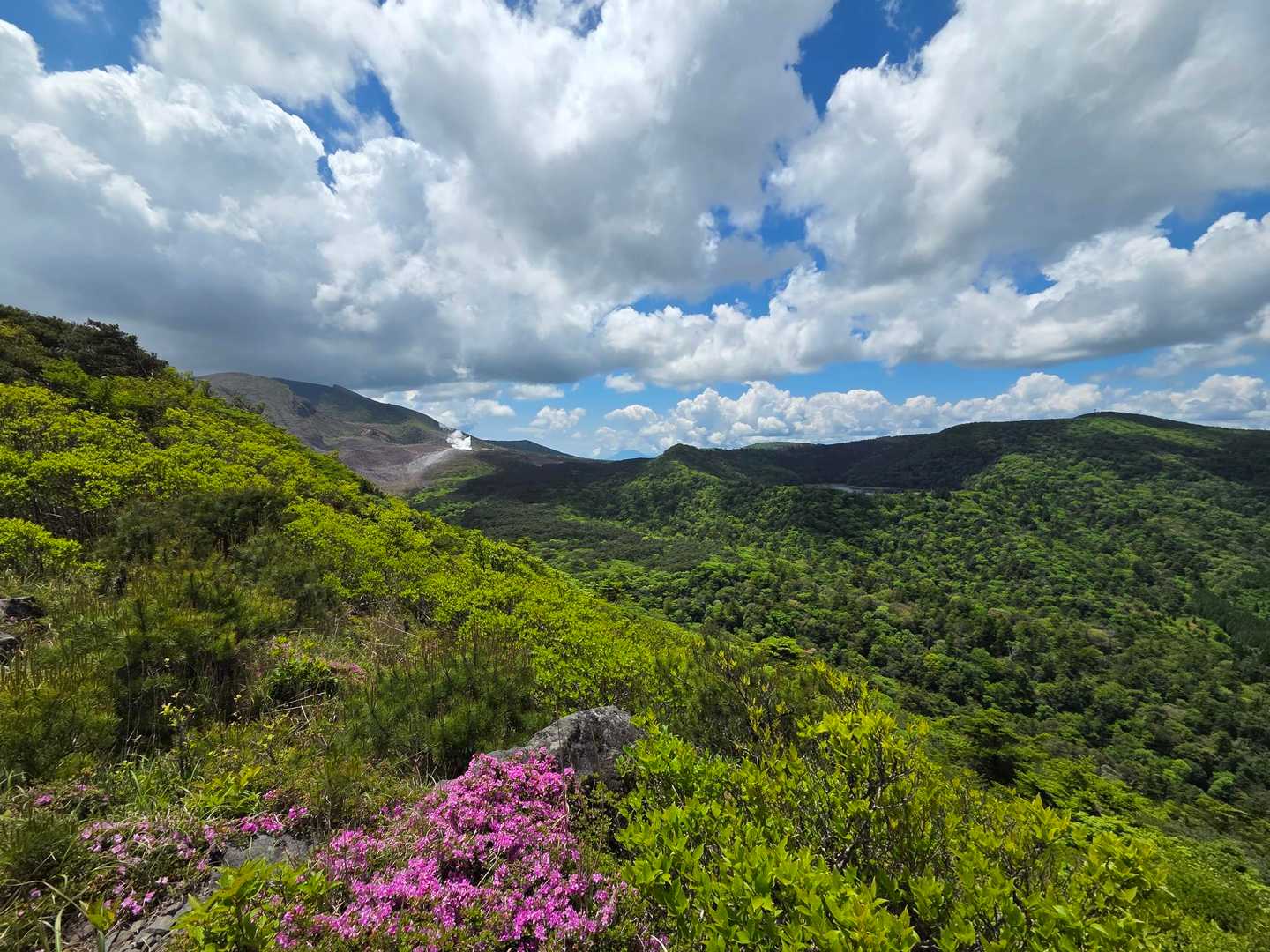 甑岳登山口-甑岳 往復コースの写真