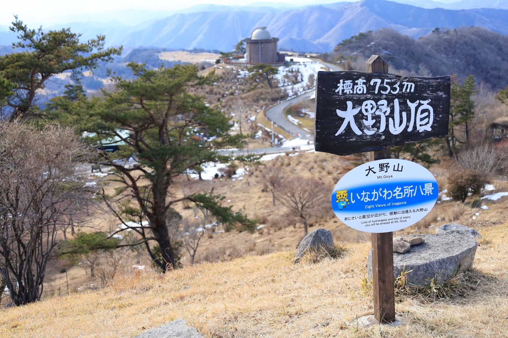 大野山 往復コースの写真