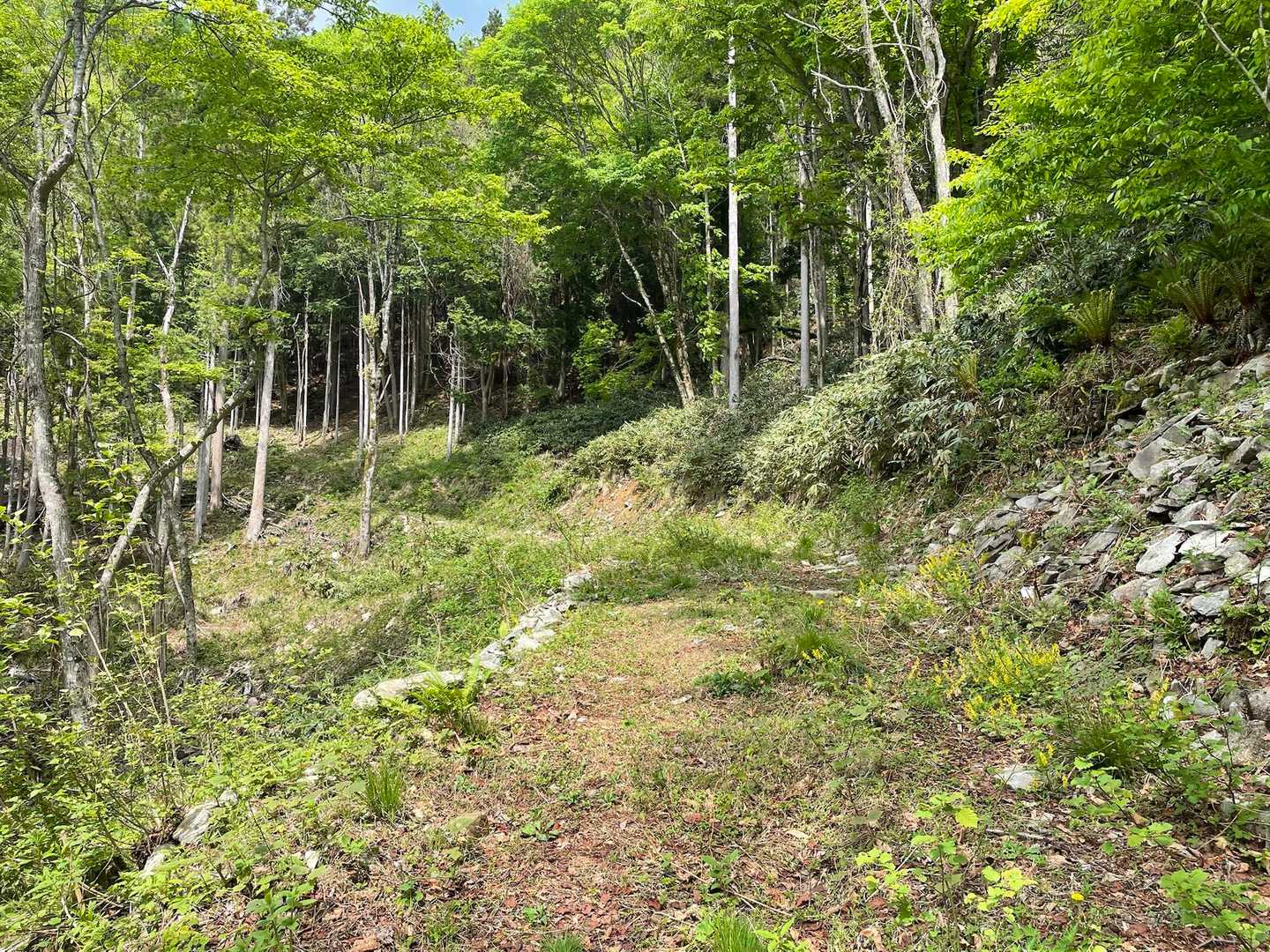高屹山 往復コースの写真
