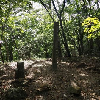 あるいて10秒の三頭山東峰