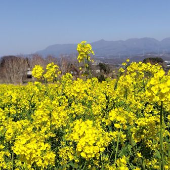 鹿田山エリア　風が冷たい
風が当たらないと暑いくらい