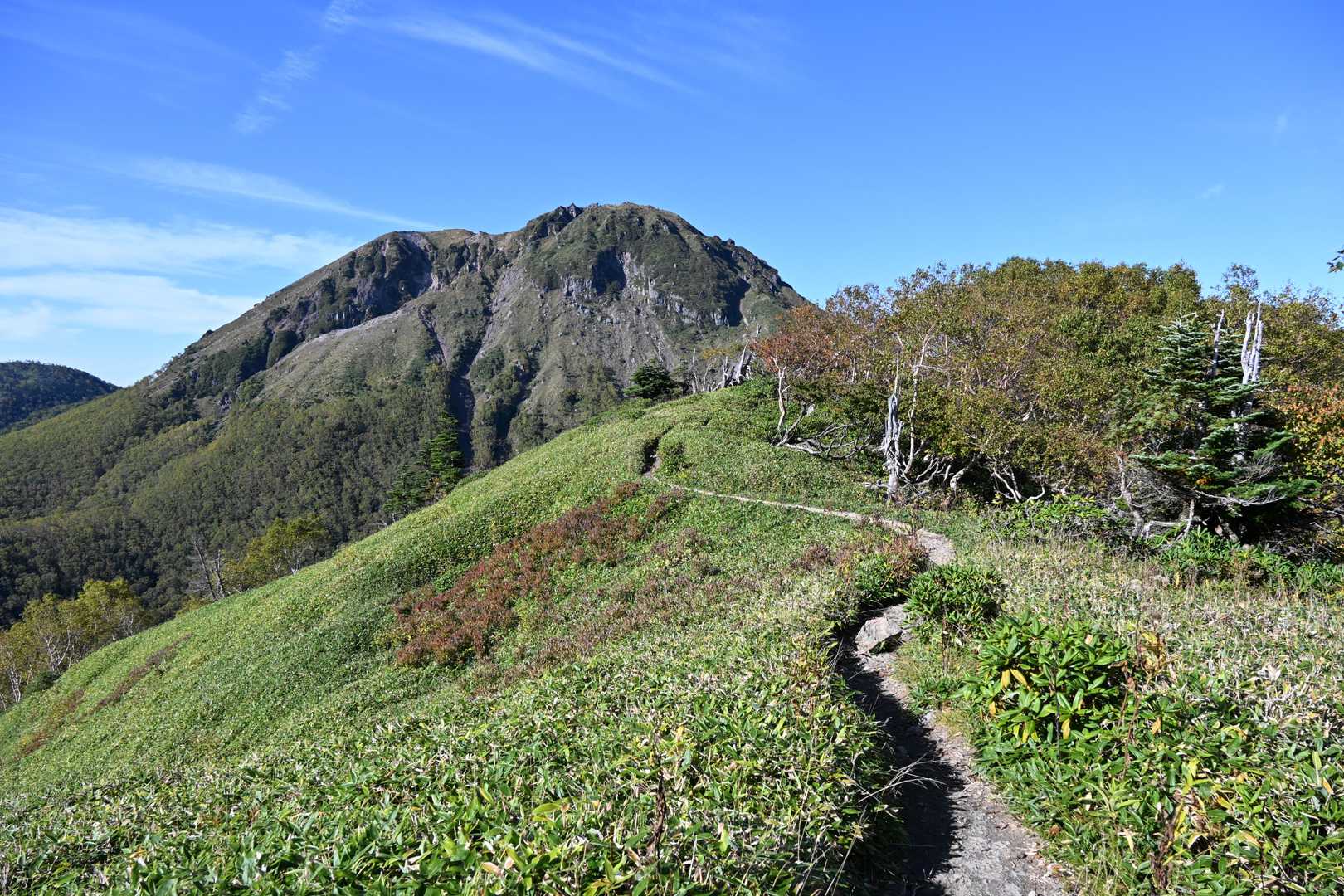 良い感じの登山道が続く