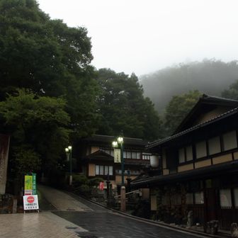 曇りとしとしと雨、朝靄の高尾山。夏なのに、やや冷気と霊気が感じられました。