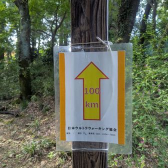 さぁゴールは目の前