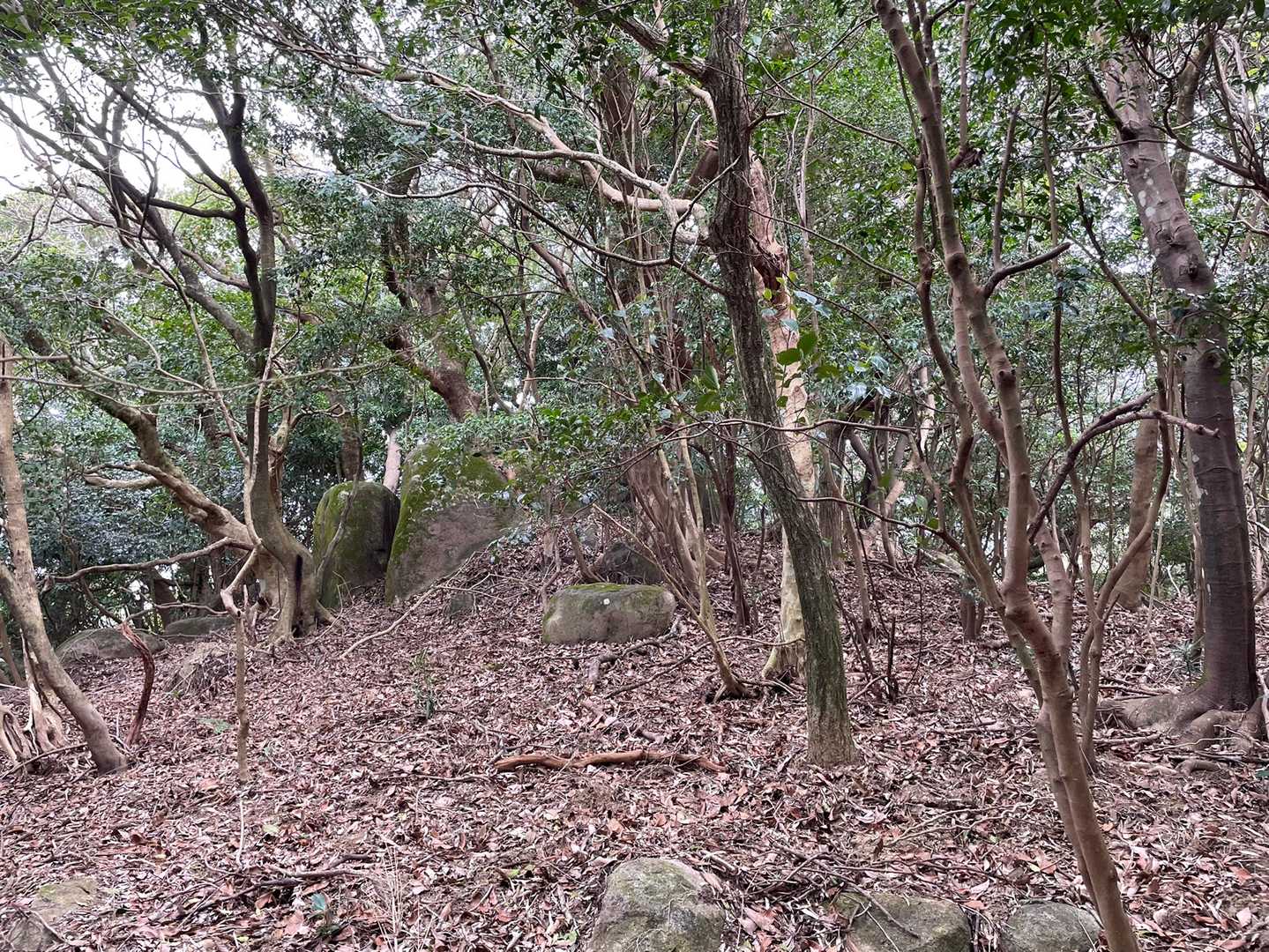 左に大きな岩　ちょっと気になるけどスルーして先に進む