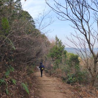 頼もしい背中😊強い男の人に成長して欲しいな…