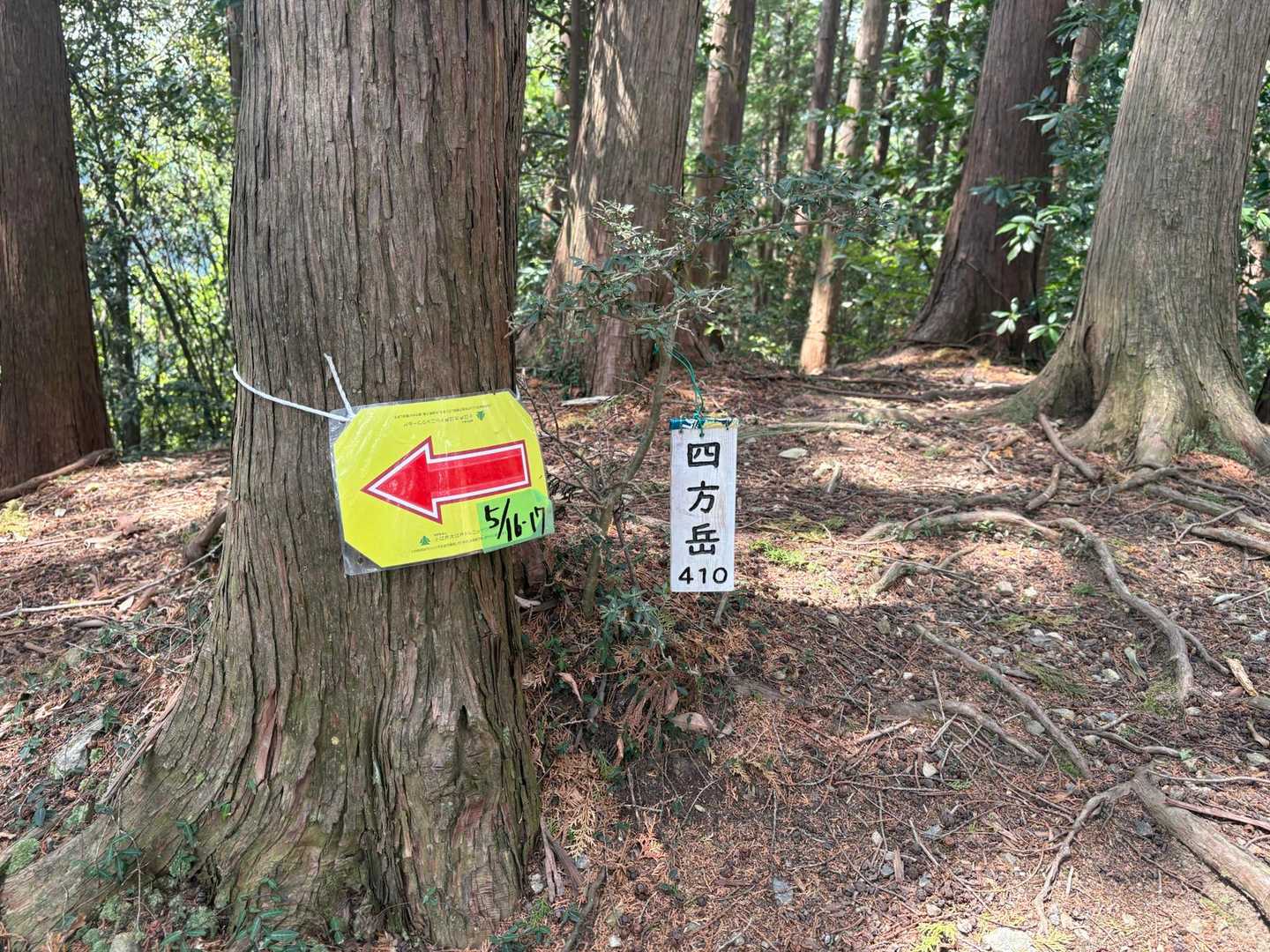 吾野駅-大高山-吾野ノ頭-天覚山-東吾野駅 縦走コースの写真