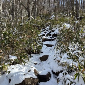 登山開始、昨日登った人も多いようで、足跡が多数
ルートはよく分かります